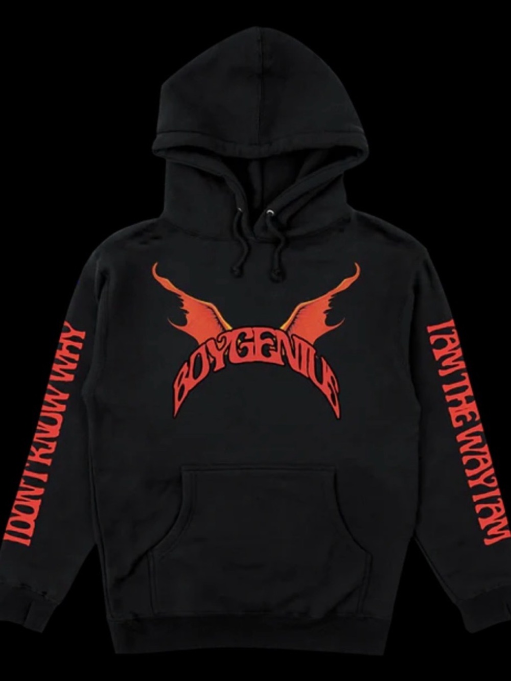 Boygenius Band Demon Hoodie